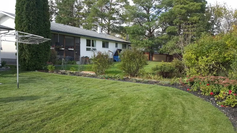 Cleared lawn where the fence stood, after cleanup